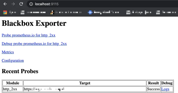 Blackbox Exporter UI showing a probe result